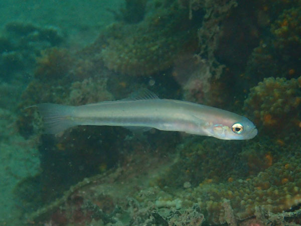 d0164831_14142146.jpg