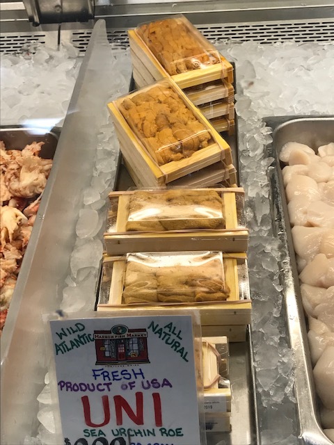 d0269832_04523891.jpeg