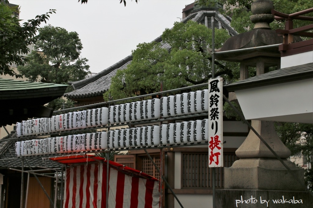 e0052135_17501083.jpg