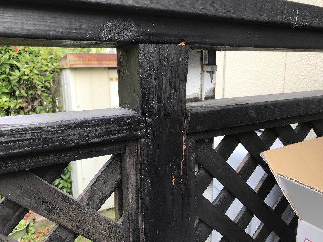 W・Dと床下と物干しと・・・_f0031037_17530006.jpg