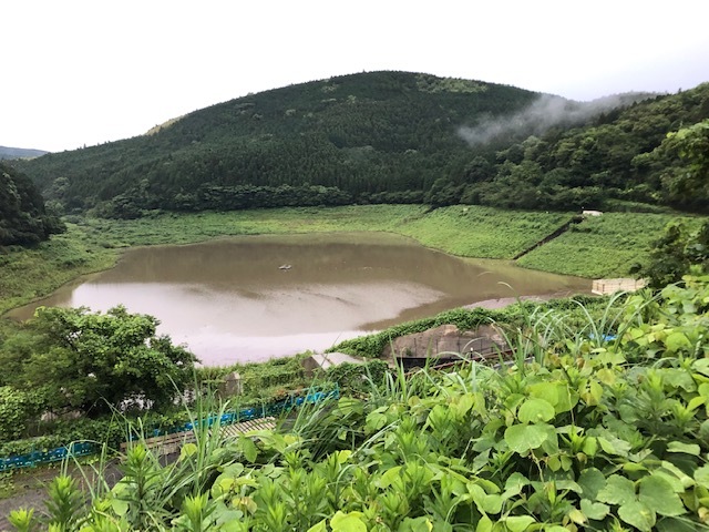 阿蘇西原村の雨_d0009738_11325266.jpg