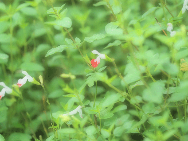 d0290240_19361480.gif