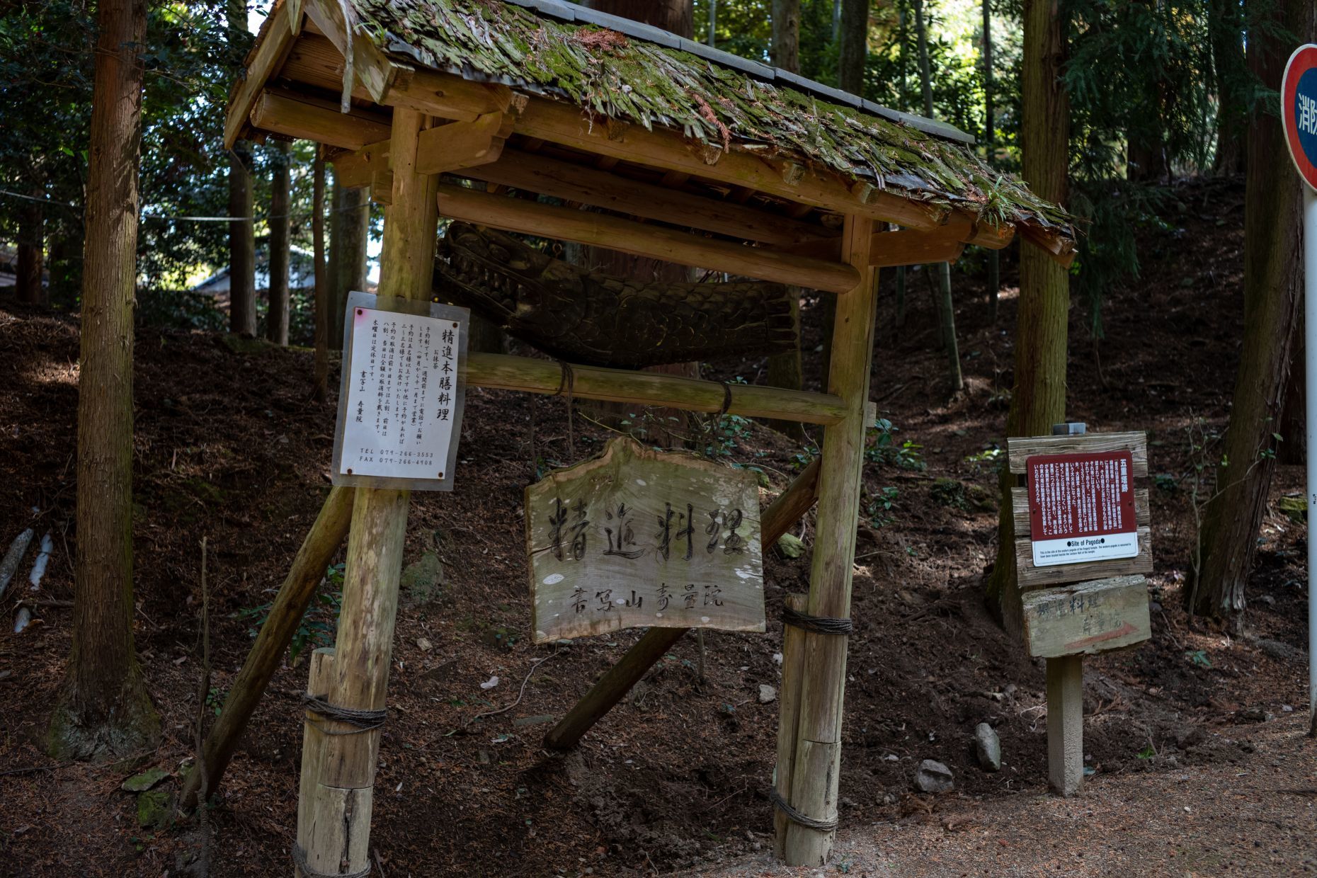 【重要文化財・史跡|円教寺】 建造物解説と画像 (兵庫県)_b0212342_05540351.jpg