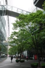 イケメン、青春スター・杉野遥亮の挑戦。一流会社に就職も倒産。家族の病気から詐欺グループに(スカム 第一話)_e0080345_07164149.jpg