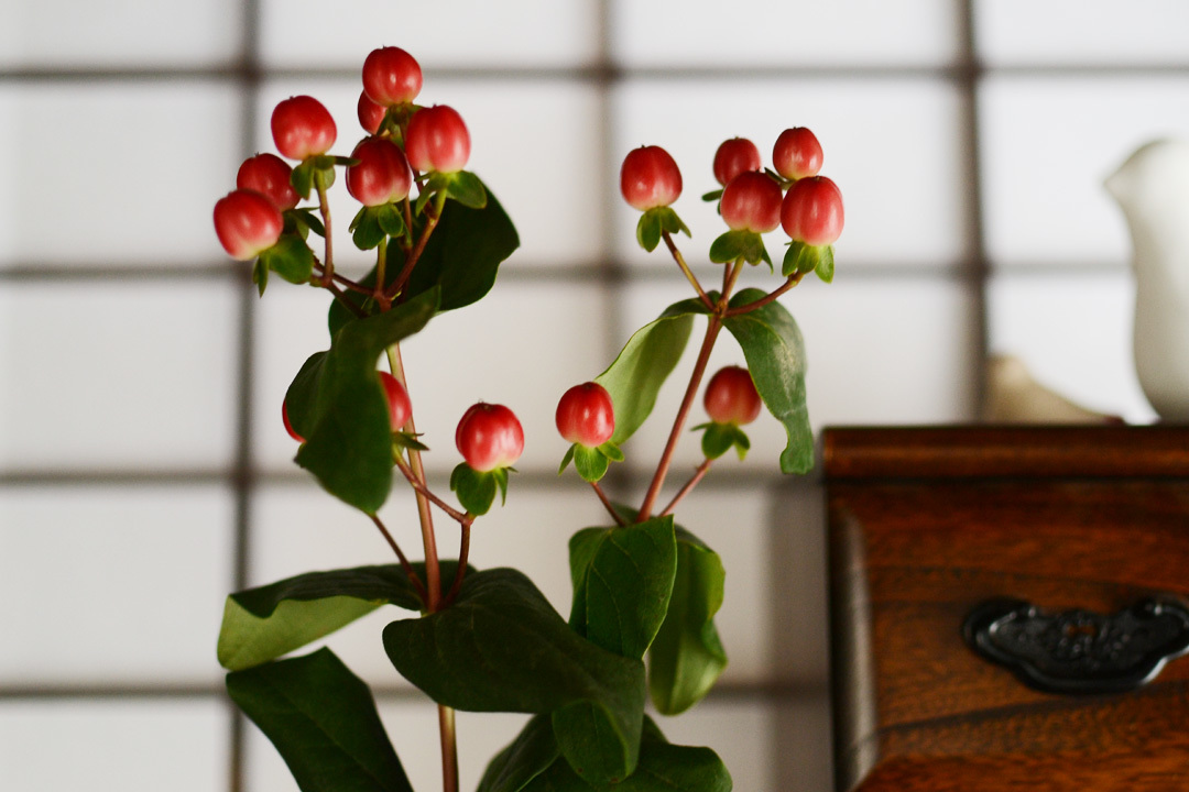 2019春夏、さいきんのお出かけ着。_d0227246_11451842.jpg