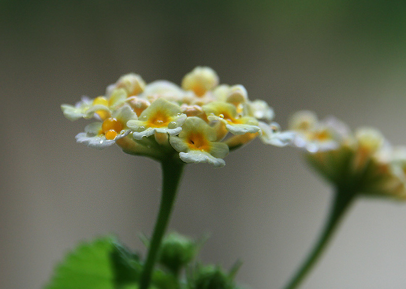 d0322448_19384707.jpg