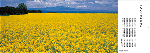 写真展「絶対風景」新潟県五泉市で、6月14日から開催！_c0142549_18453481.jpg