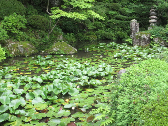 湖東三山（金剛輪寺）_d0154954_13390210.jpg