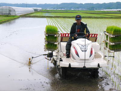 『七城米』 長尾農園 令和元年度の田植えを現地取材!美しすぎる田んぼの田植えが今年も無事終了!_a0254656_16190524.jpg
