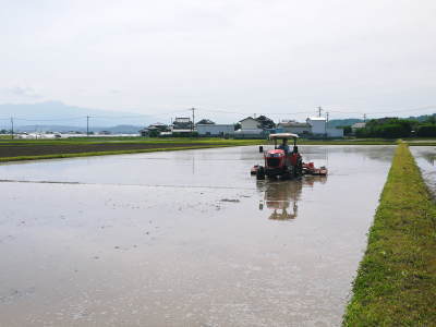 『七城米』 長尾農園 令和3年度の田植えを現地取材!匠は今年も美しすぎる田んぼで育てます! _a0254656_17031920.jpg