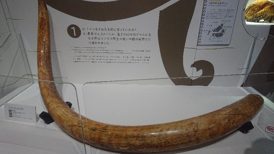 a0011658_20250506.jpg