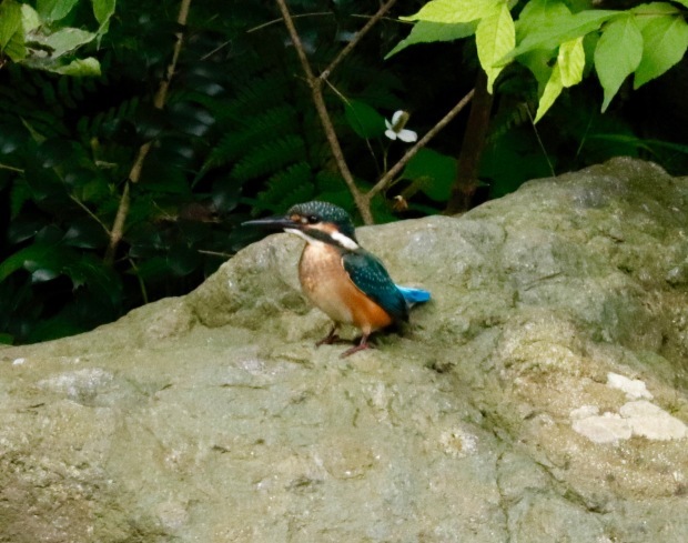 a0248459_19330455.jpg