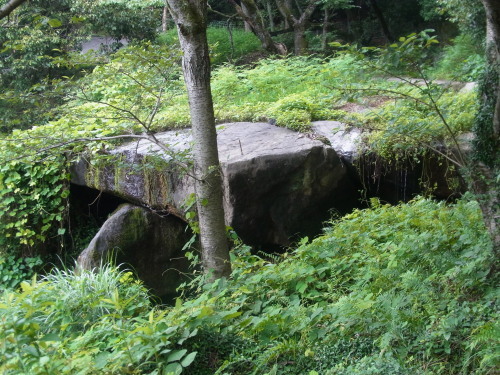 a0187861_19183997.jpg