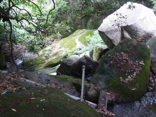 a0187861_23412024.jpg