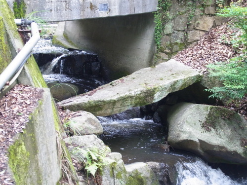 a0187861_23553426.jpg