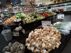 a0331562_1684018.jpg