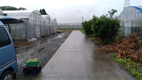 f0186462_02355557.jpg