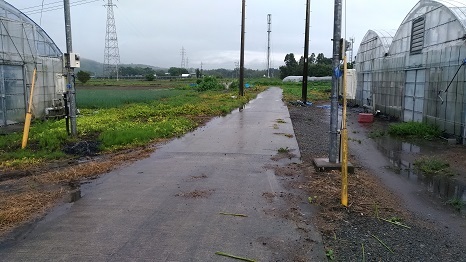 f0186462_02355945.jpg