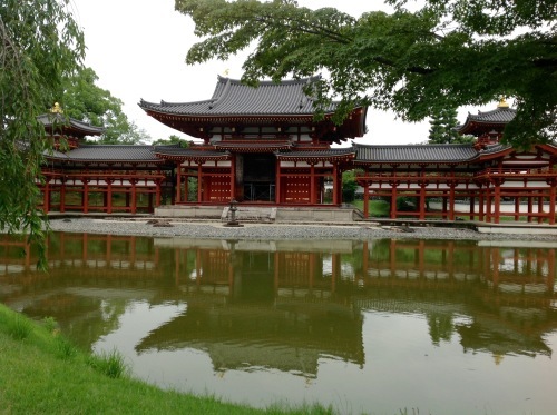 宇治 世界遺産で・・・・_b0153663_19064910.jpeg
