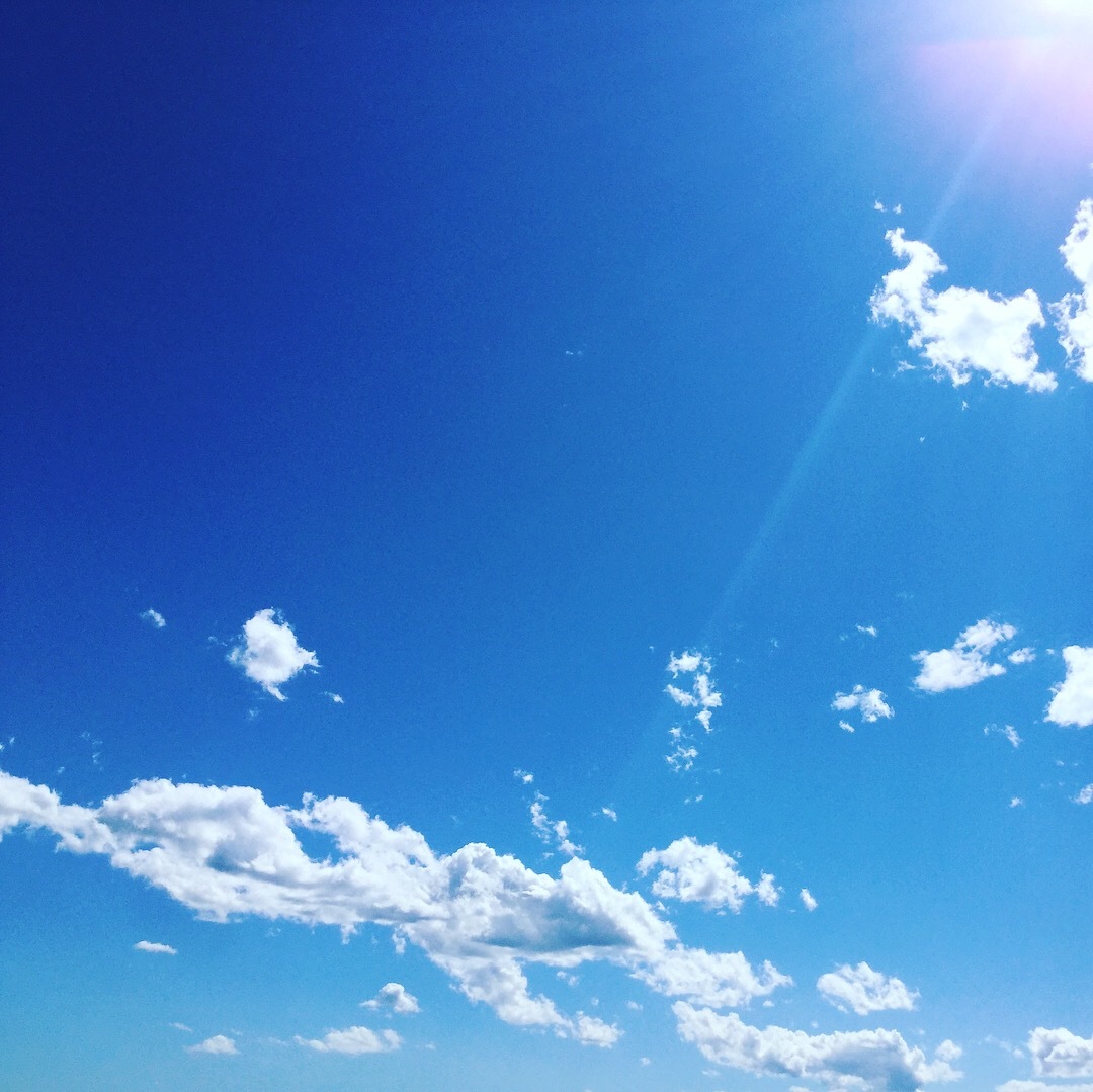 6月は。_d0137764_11344767.jpeg