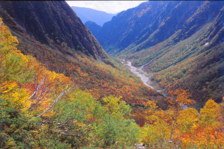 c0303868_07353482.jpg