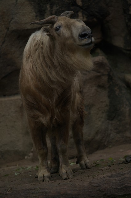 a0188771_23020345.jpg