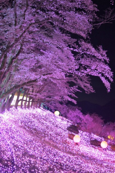 b0242873_00121166.jpg