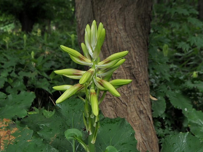 c0183777_20221721.jpg