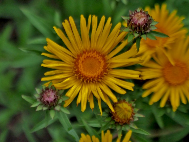 c0183777_2024930.jpg