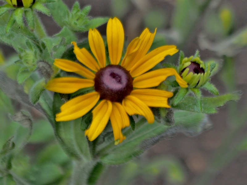 c0183777_2028813.jpg