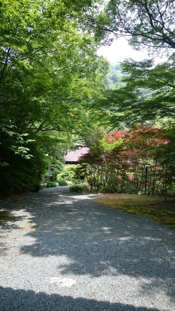 c0325278_12353784.jpg