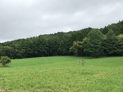 アメアラレのように降って来る情報は 人間の思考力を疎外し始めている!_a0053480_07175770.jpg