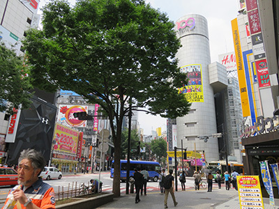b0056983_11255979.jpg