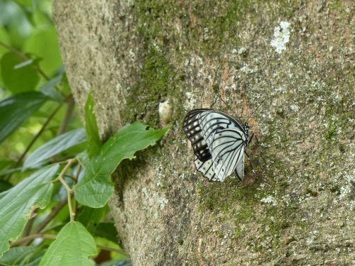 d0353091_14390504.jpg
