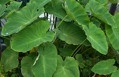 e0157891_1432135.jpg