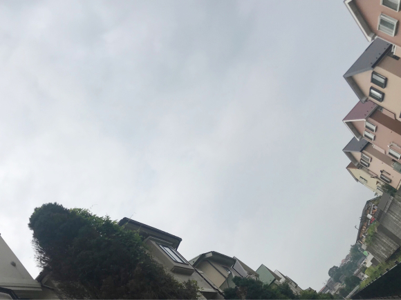 d0135694_22361453.jpg
