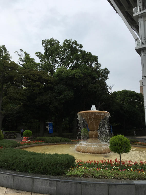 7月のロゼブランシェ_c0195496_14292224.jpg