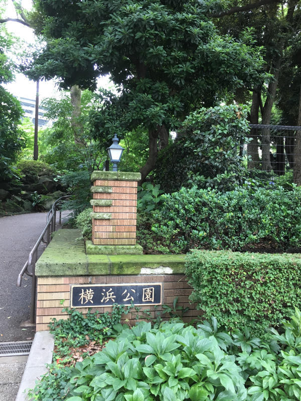 7月のロゼブランシェ_c0195496_16130819.jpg