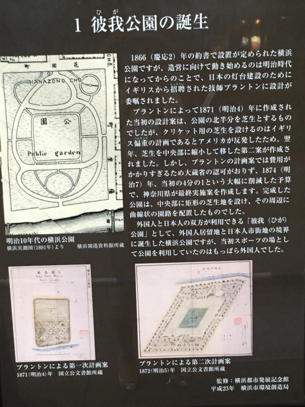 7月のロゼブランシェ_c0195496_16263355.jpg