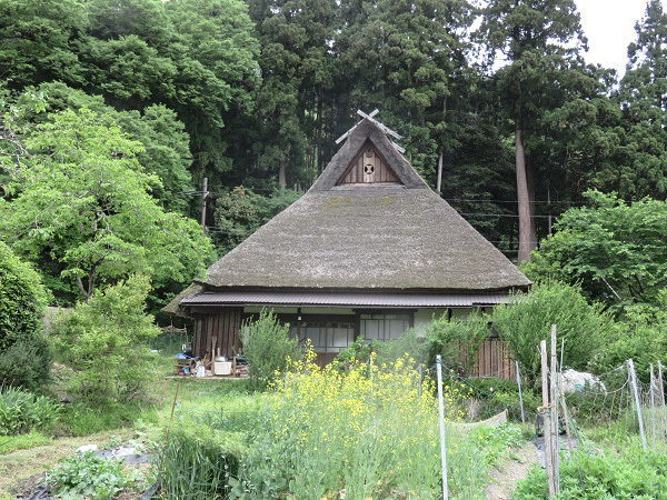 f0346196_20055860.jpg