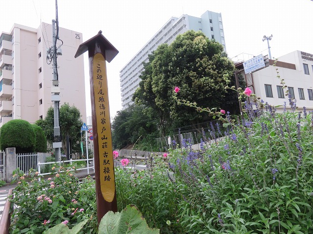 c0187004_13054435.jpg