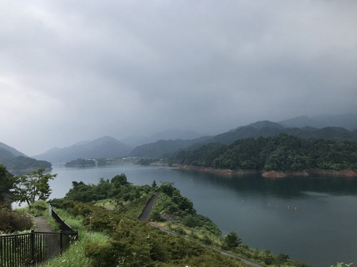 顔を2か所 さされていた (´・ω・`)_c0212604_7122114.jpg