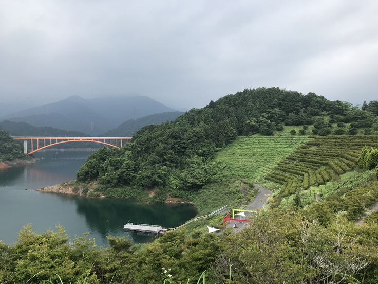 顔を2か所 さされていた (´・ω・`)_c0212604_7125040.jpg