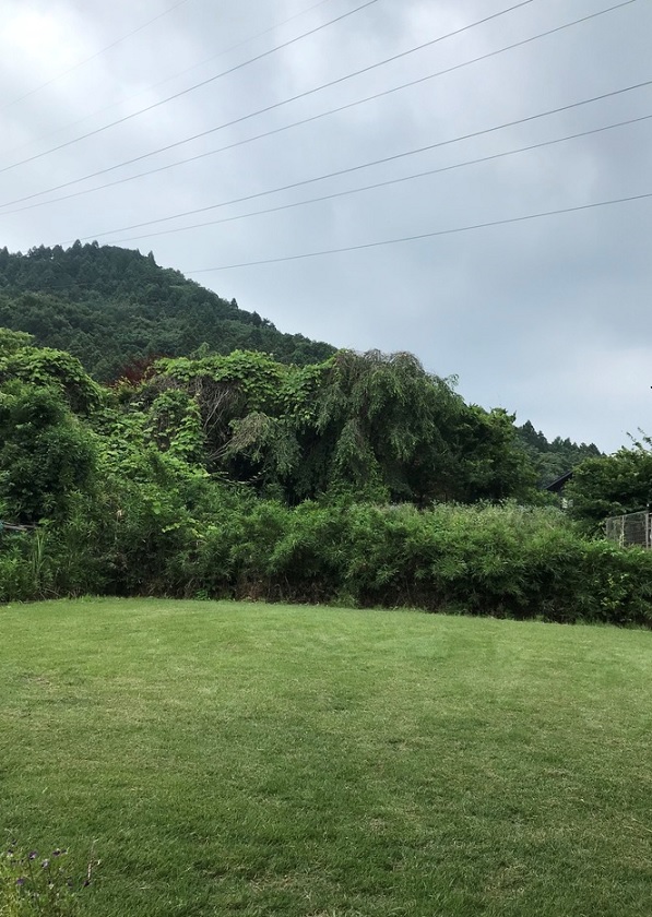 顔を2か所 さされていた (´・ω・`)_c0212604_7201441.jpg