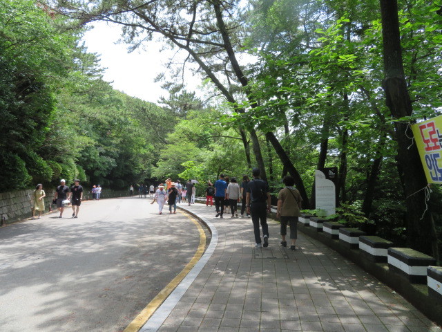 ’19年6月 釜山②_a0100706_21334383.jpg