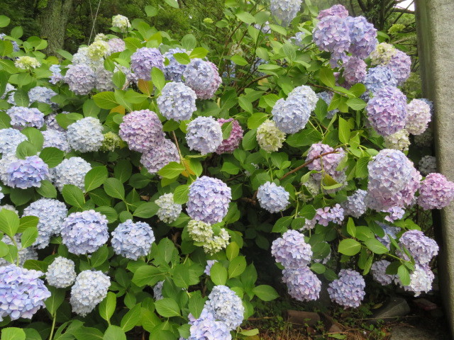 ’19年6月 釜山②_a0100706_21343670.jpg