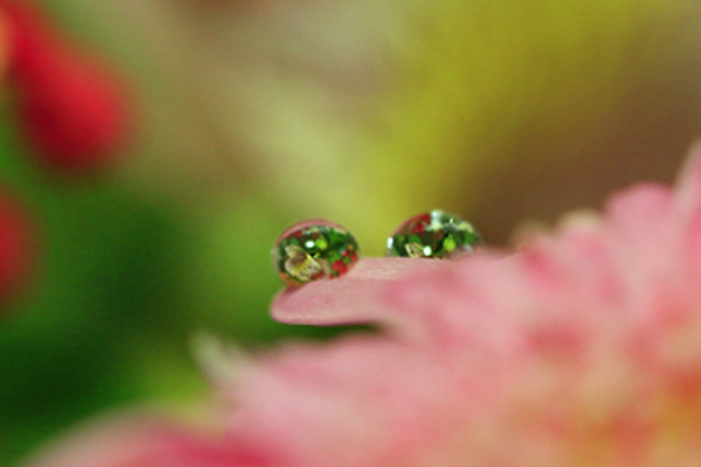 b0014607_12363244.jpg