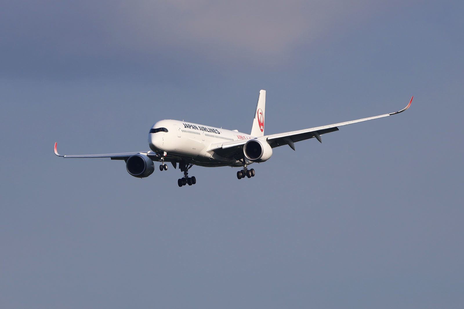 CTS 03JUL2019 「JAL A350-900 訓練飛行」_b0315809_23134336.jpg