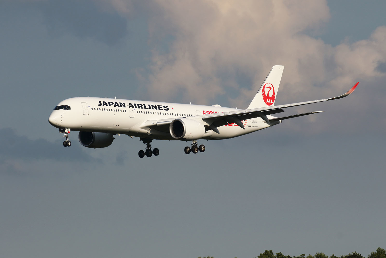 CTS 03JUL2019 「JAL A350-900 訓練飛行」_b0315809_23140385.jpg