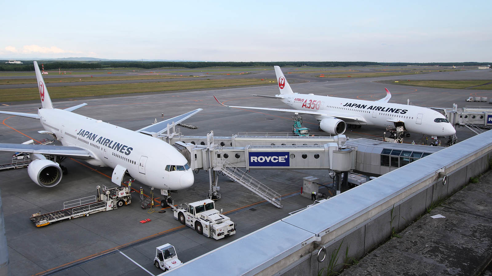 CTS 03JUL2019 「JAL A350-900 訓練飛行」_b0315809_23144767.jpg